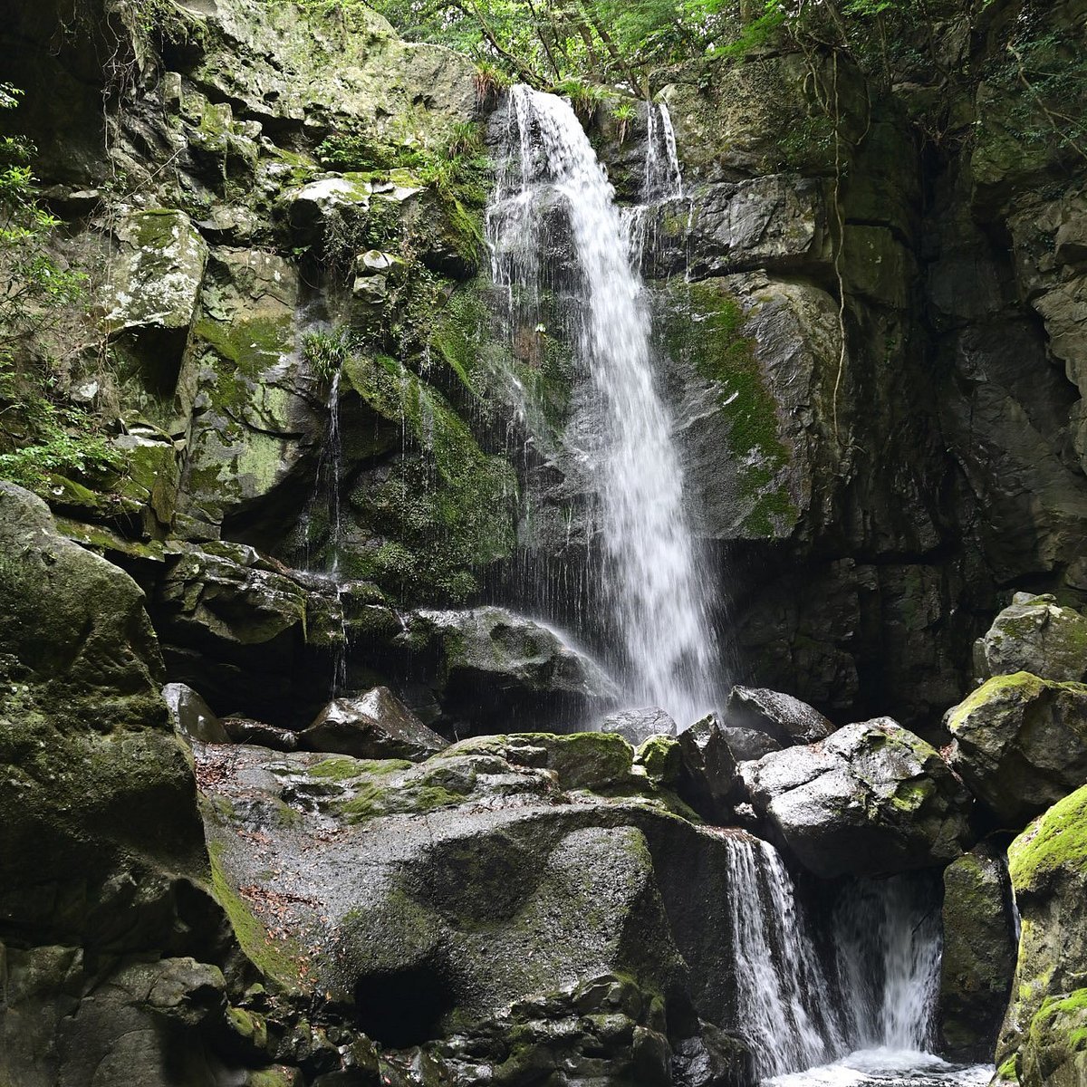 🏞️ 아이야 폭포 (아이야노타키) 이미지 6